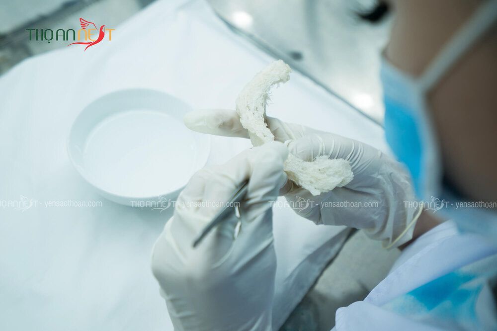 Tổng hợp cách nấu & chế biến tổ yến sào ngon đúng cách và 22helo88