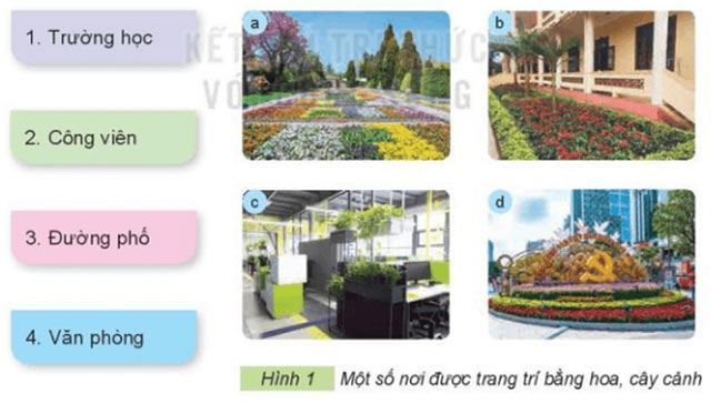 helloo88 lớp 4 Bài 1: Lợi ích của hoa, cây cảnh đối với đời sống Giải helloo88 lớp 4 Kết nối tri thức trang 6, 7, 8, 9, 10