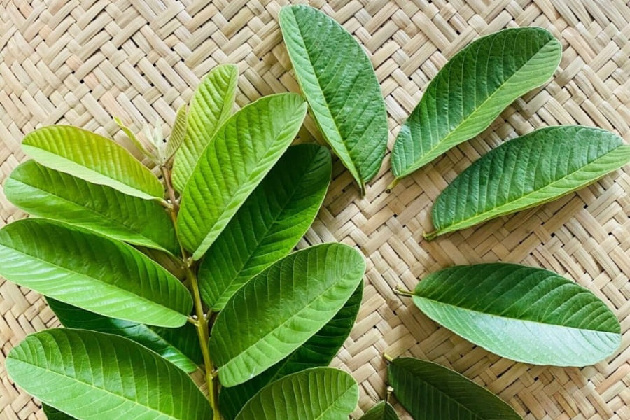 7 cách xông mặt 22helo88 cho làn da mịn màng và trắng sáng