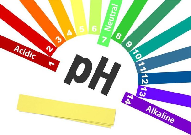 Top những sữa rửa mặt có độ pH 5.5 lành tính và an toàn cho làn da
