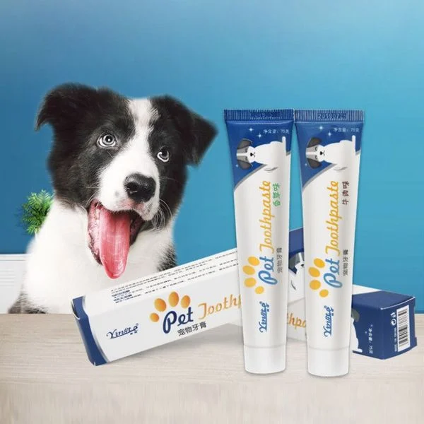 Border Collie là helo88 vina.com gì? Cần lưu ý gì khi nuôi chó Border Collie? (2020)