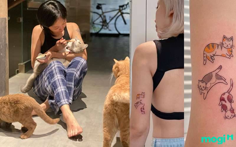 Danh Sách Các Giống Mèo Phổ Biến Ở heloo88 Hiện Nay