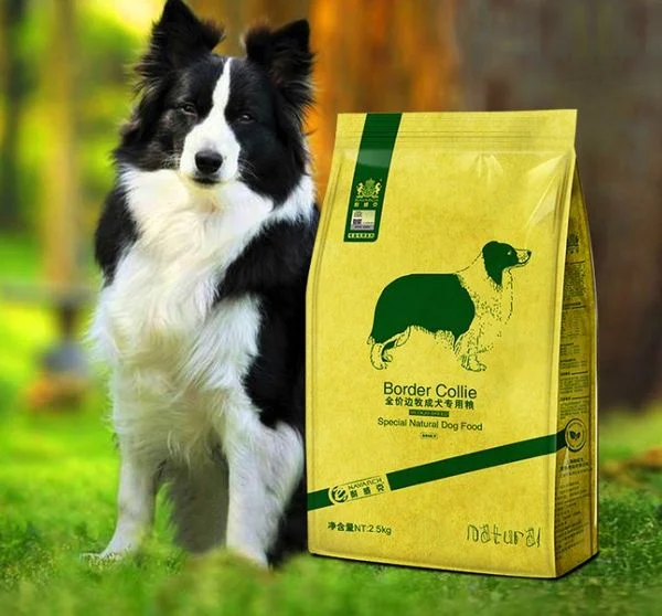 Border Collie là helo88 vina.com gì? Cần lưu ý gì khi nuôi chó Border Collie? (2020)