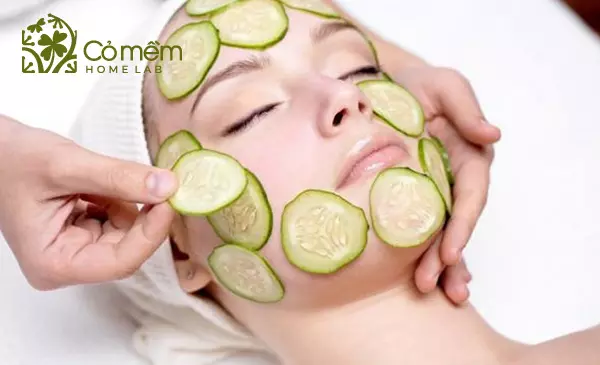 Đắp Dưa Leo Có Tác Dụng Gì? 7++ Lợi Ích