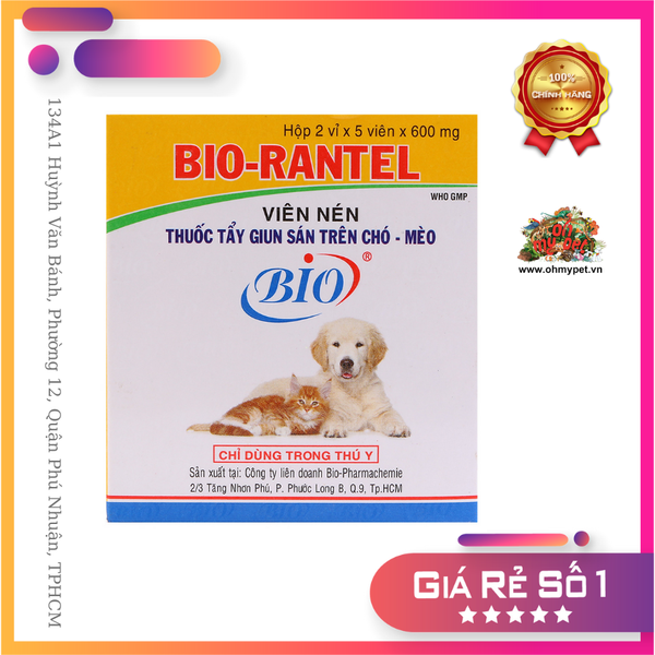 Tẩy giun cho mèo helloo88 và những điều bạn cần biết