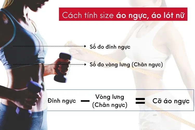 Bảng size áo nữ mới nhất 2022 và cách chọn size áo 33hello88