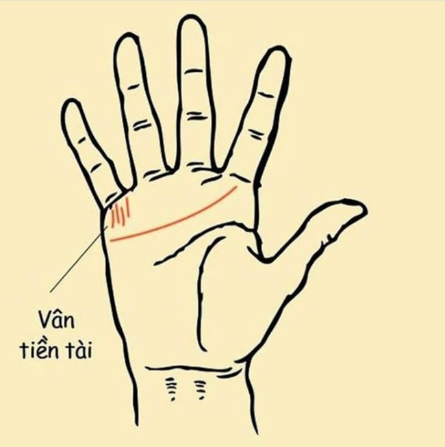Gợi ý cách xem chỉ tay nữ 22helo88, dễ hiểu