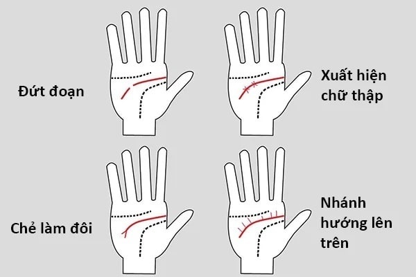 Gợi ý cách xem chỉ tay nữ 22helo88, dễ hiểu