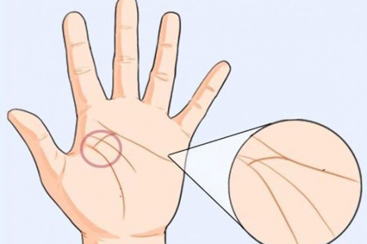 Gợi ý cách xem chỉ tay nữ 22helo88, dễ hiểu
