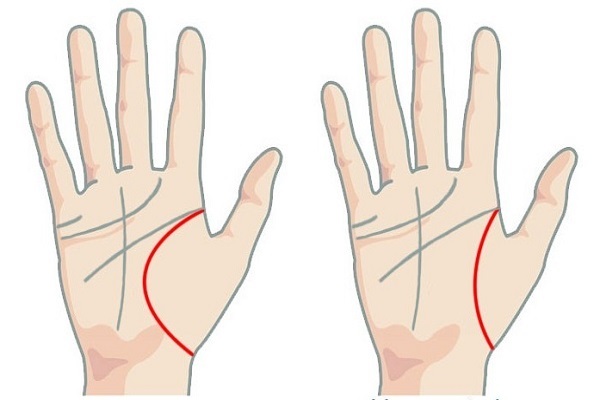 Gợi ý cách xem chỉ tay nữ 22helo88, dễ hiểu