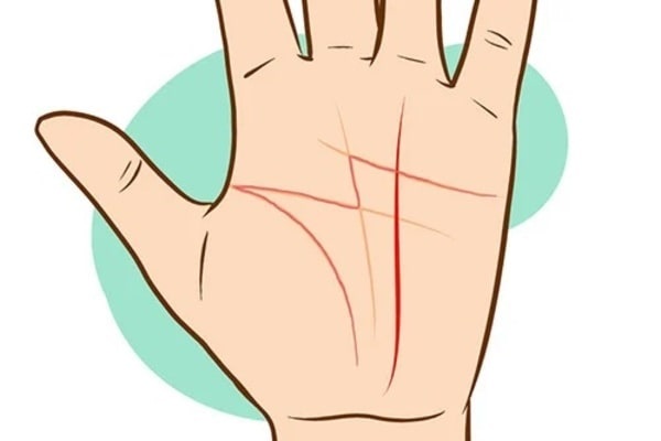 Gợi ý cách xem chỉ tay nữ 22helo88, dễ hiểu