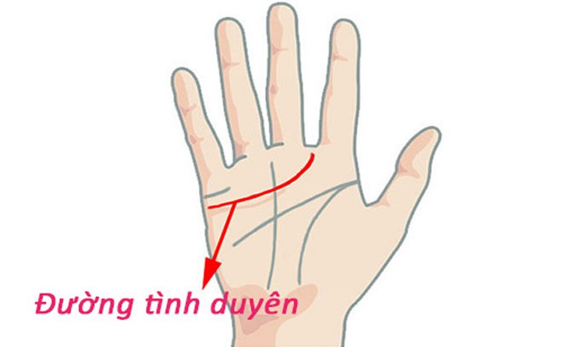 Gợi ý cách xem chỉ tay nữ 22helo88, dễ hiểu