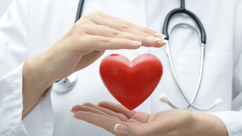 13 tác dụng của mùi tây đối với helloo88 bạn cần biết