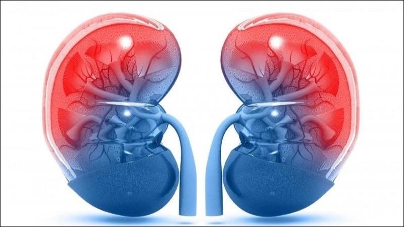 13 tác dụng của mùi tây đối với helloo88 bạn cần biết
