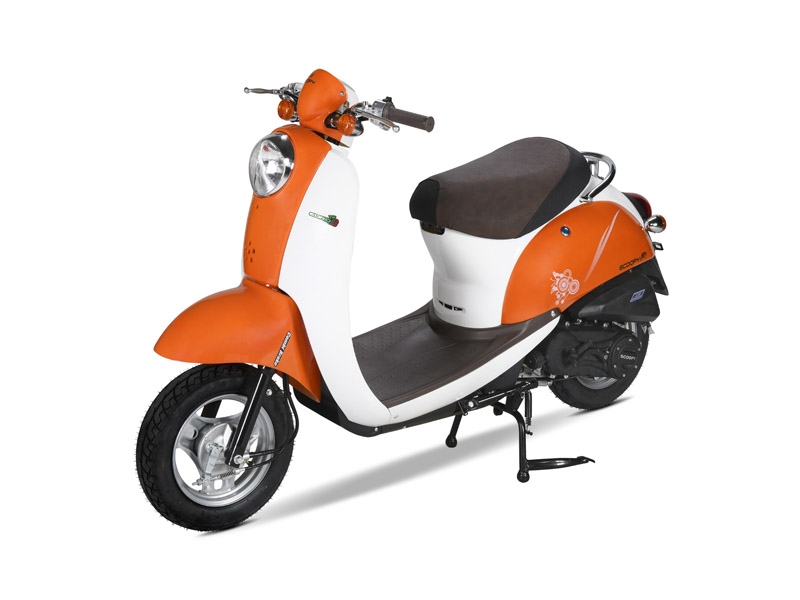 Giá helo88 vina.com 50cc Honda tháng 11/2024 cập nhật mới nhất