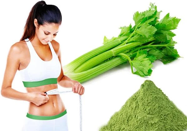 Bột cần tây: Tác dụng, tác hại và cách uống khoa học