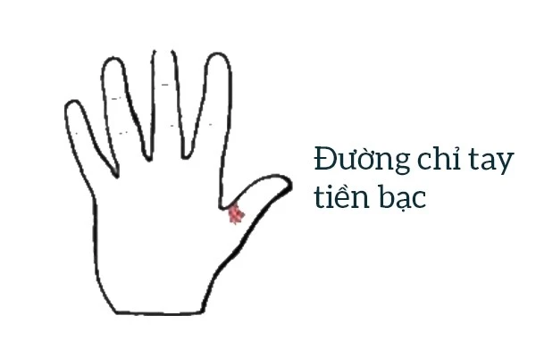 Các đường chỉ tay đặc biệt quyết định đến tương lai của bạn 