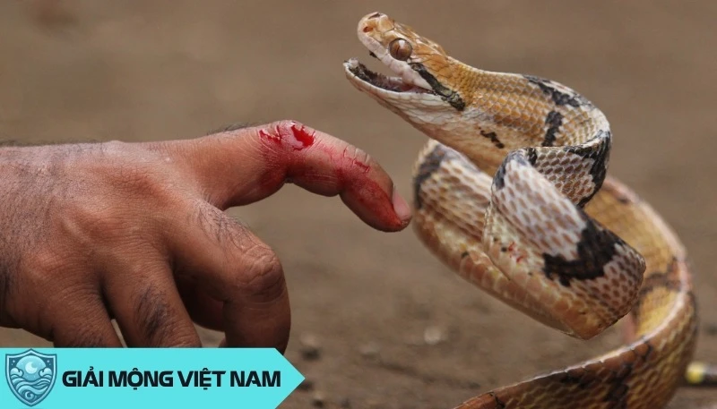 Nằm mơ thấy rắn cắn: Cảnh báo về helloo88 và mối quan hệ xung quanh, dự đoán đánh con gì? - Yến Thanh Medical - Giải mã giấc mơ - Điềm báo - Cung Hoàng Đạo