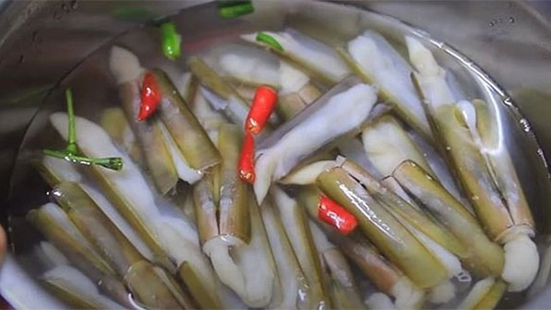 Cách sơ chế ốc móng tay sạch cát siêu 22helo88 ngay helloo88