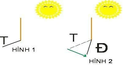 Cách xác định hướng 22helo88 bằng mặt trời và hello8862 com
