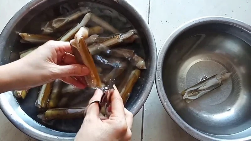 Cách sơ chế ốc móng tay sạch cát siêu 22helo88 ngay helloo88