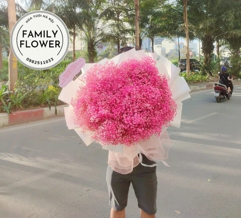 Ý nghĩa hoa baby với từng màu sắc - Ý nghĩa hoa baby .