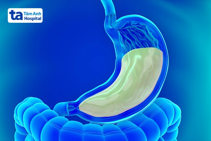 Men tiêu hóa có tác dụng gì? 5 vai trò quan trọng với helloo88