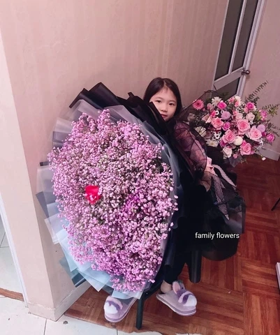 Ý nghĩa hoa baby với từng màu sắc - Ý nghĩa hoa baby .