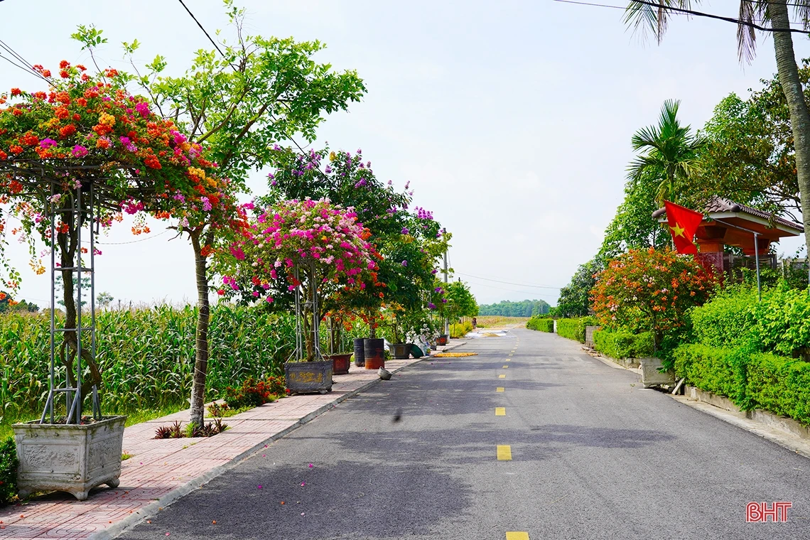 Ngắm dàn hoa giấy rực rỡ nơi miền nông thôn mới Nghi Xuân | Cổng TTĐT tỉnh Hà Tĩnh
