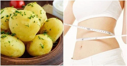 Ăn khoai tây có giảm béo không?