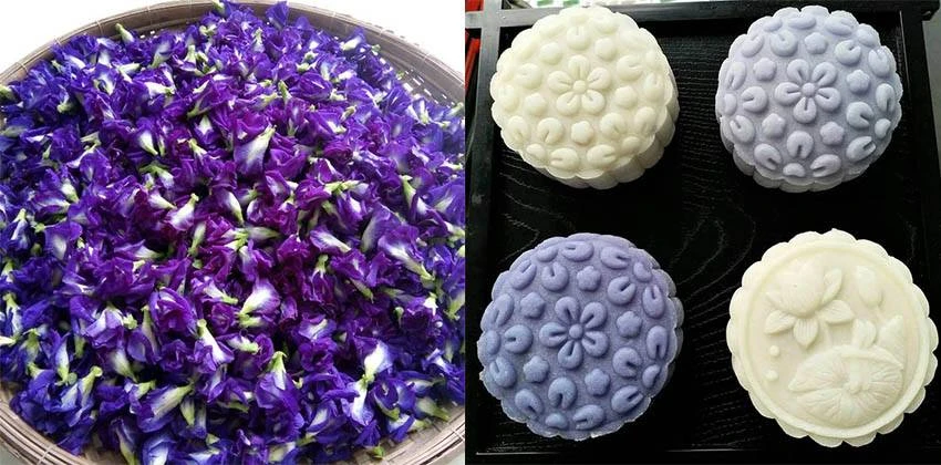 Những tác dụng bất ngờ từ hoa đậu biếc - Bệnh viện quận 11