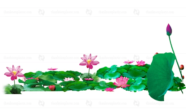 Ảnh hoa sen vector file tách nền PNG heloo88 logo, background