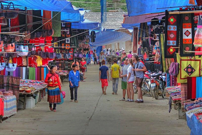 Kinh nghiệm trekking Tây Côn Lĩnh đầy đủ, chi tiết nhất cho người mới đi