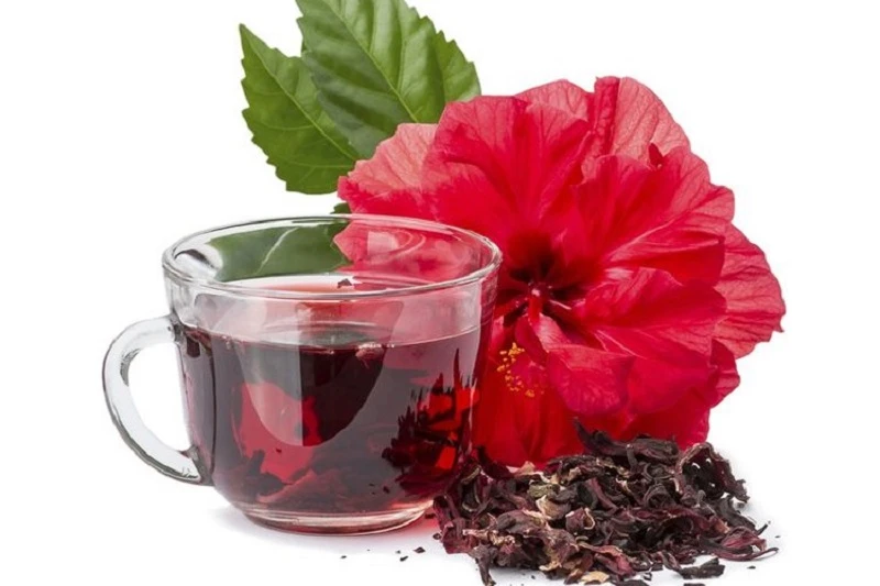 Hoa dâm bụt: dược liệu tự nhiên tốt cho helloo88