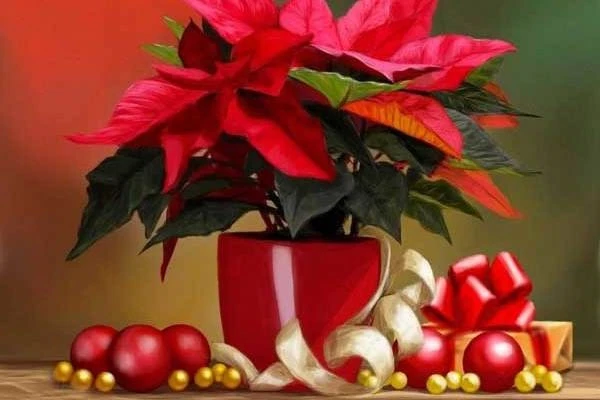 Ý nghĩa hoa Trạng Nguyên và cách trồng, chăm sóc đúng nhất
