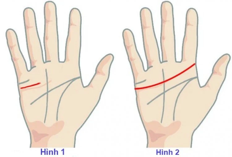 Xem Chỉ Tay Đường Tình Duyên Biết Ngay Hôn Nhân Nam Nữ, Tốt Hay Xấu