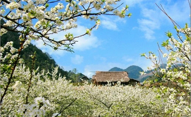 9 Điểm du lịch Tây Bắc nổi tiếng nhất định phải đến trong đời