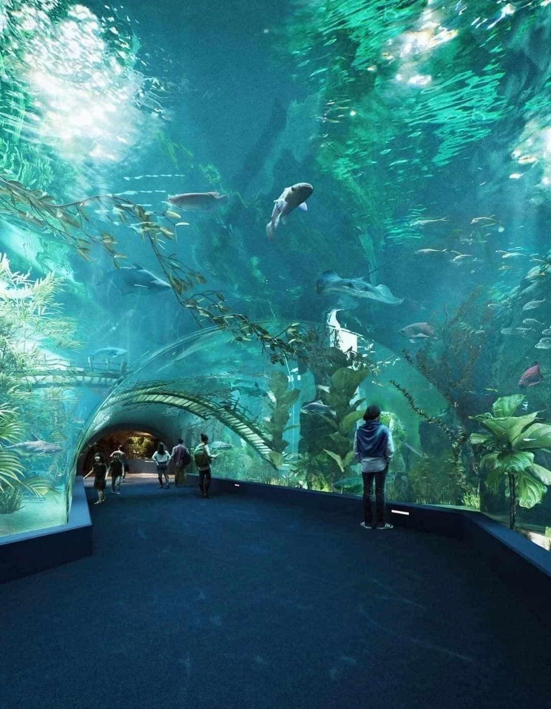 CẬP NHẬT GIÁ VÉ THUỶ CUNG LOTTE WORLD TÂY HỒ