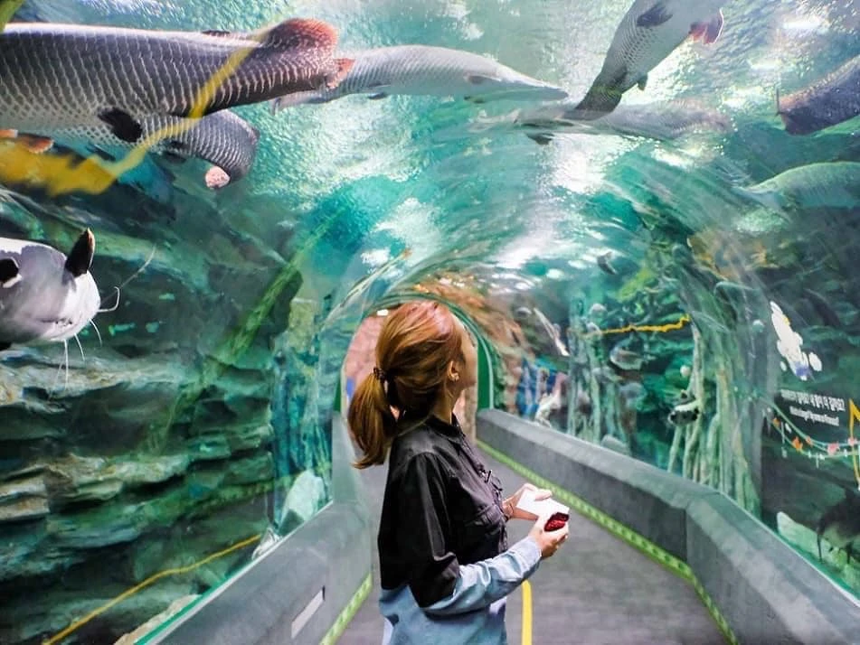 CẬP NHẬT GIÁ VÉ THUỶ CUNG LOTTE WORLD TÂY HỒ