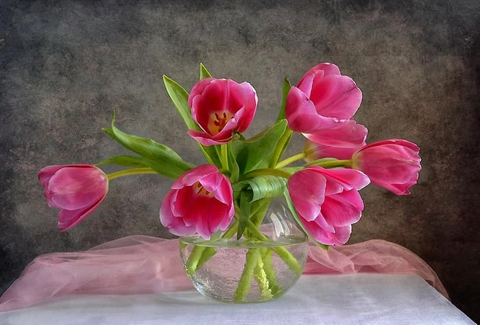 Hình nền hoa Tulip vẽ tay lung linh