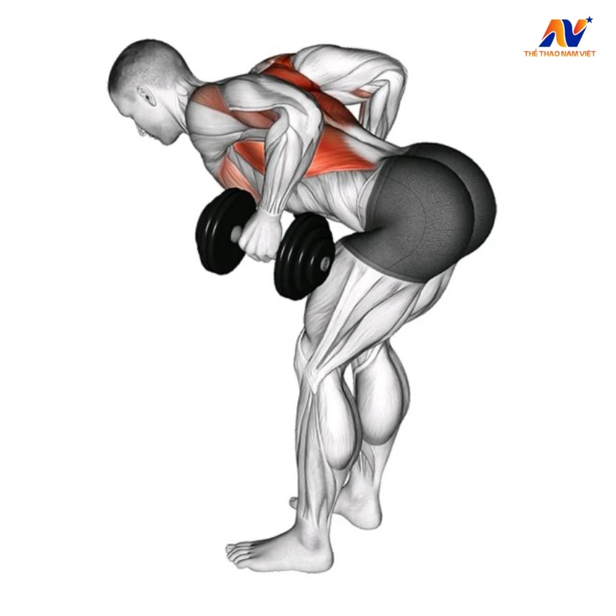 10 bài tập tay sau với tạ đơn hiệu quả helloo88