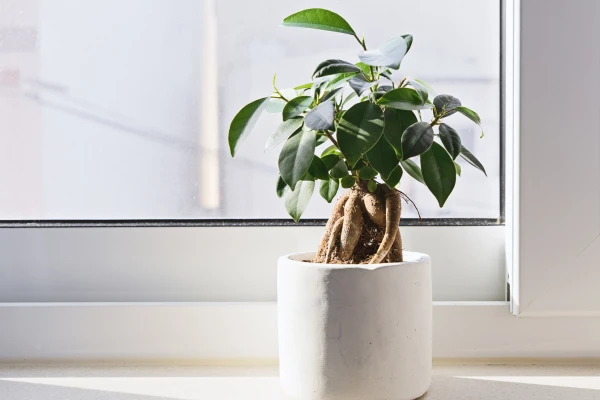 Quà chia tay đồng nghiệp với 30+ lựa chọn độc đáo và thú vị