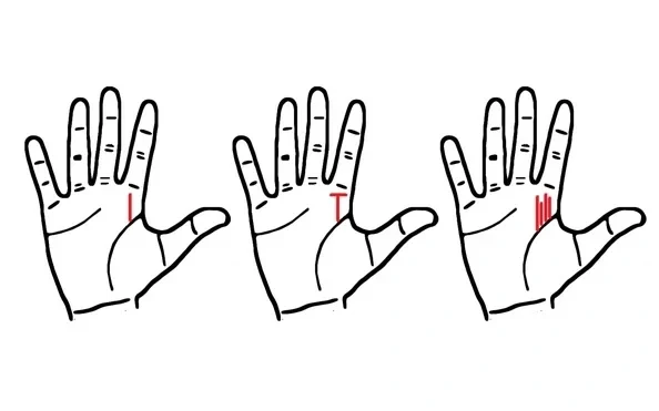 10 dấu hiệu