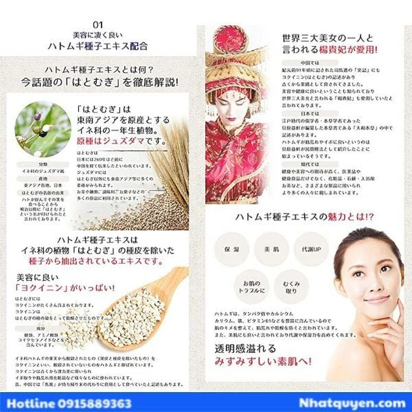 Dầu tẩy trang Hatomugi Nhật Bản 500ml