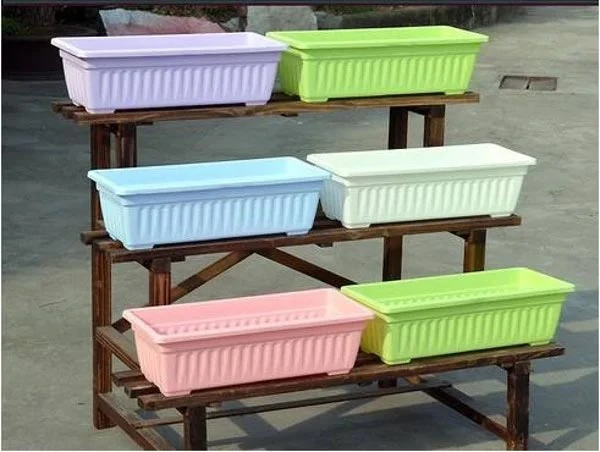 Cách trồng và chăm sóc dâu tây helloo88 22helo88, cho quả chín mọng