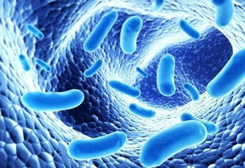 Bác sĩ tư vấn về cách sử dụng men tiêu hóa cho người lớn