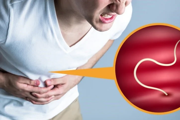 Người lớn có cần tẩy giun theo định kỳ không?