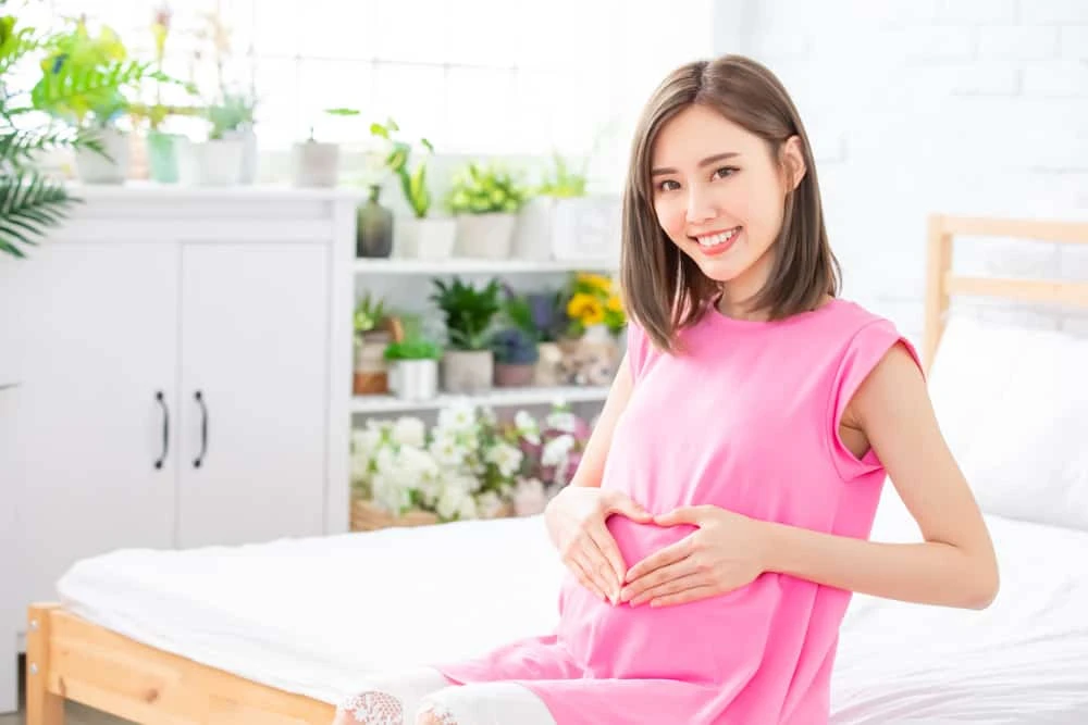 9 công dụng của hoa chuối với helloo88 có thể bạn chưa biết