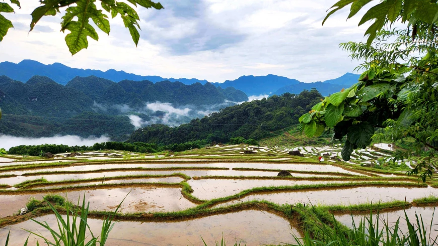 Pu Luong, Thanh Hoa: The hidden paradise | Vietnam Tourism