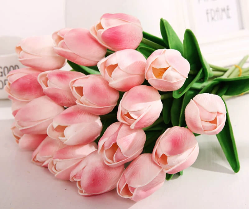 Hoa Tulip Hồng: Tìm hiểu ý nghĩa đặc điểm cách trồng và cách chăm sóc